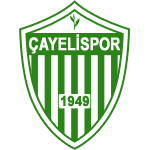 Çayeli Stadyumu logosu